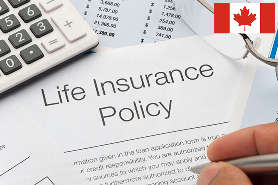 Navigating the Landscape: Securing the Best Affordable Life Insurance in Canada